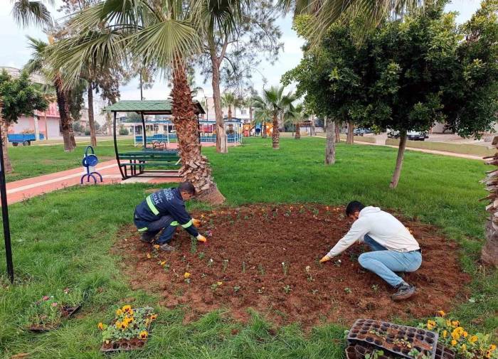 Akdeniz’de Park, Bahçe Ve Yeşil Alanlar Çiçekleniyor