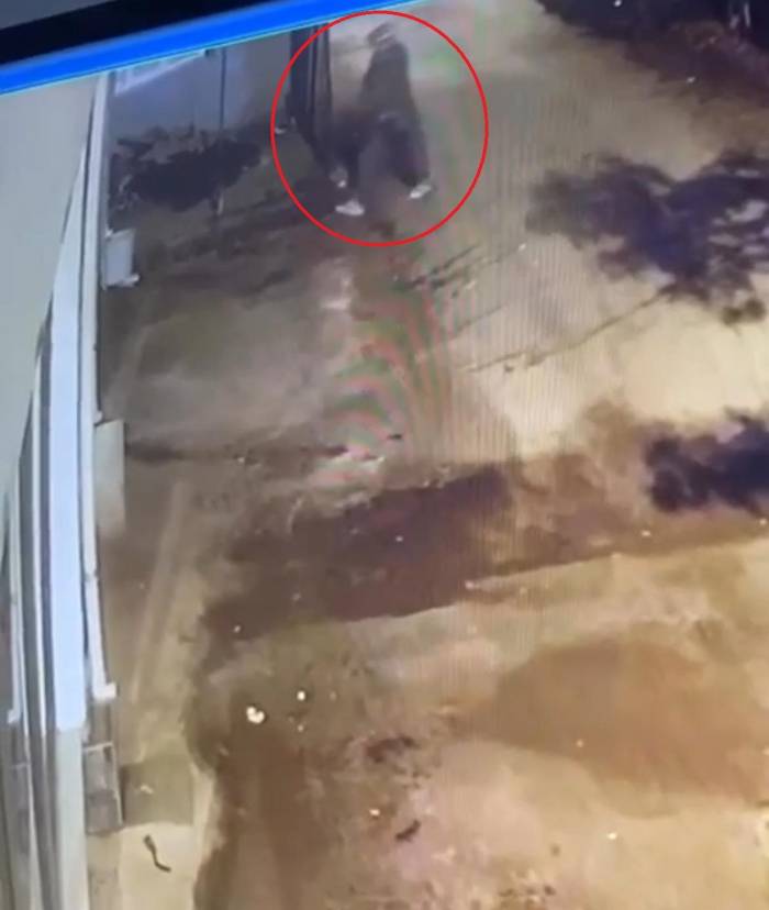 Çöp Kovası Hırsızı Kamerada