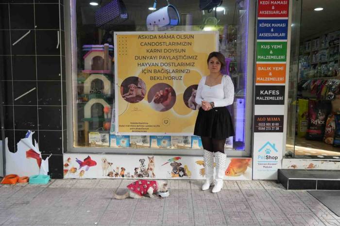 Sokak Hayvanları İçin ’askıda Mama’ Kampanyası