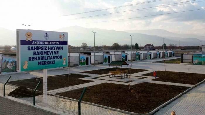 Başkan Akkaya: “Sokak Hayvanları İçin Çözüm Odaklı Adımlar Atıyoruz”