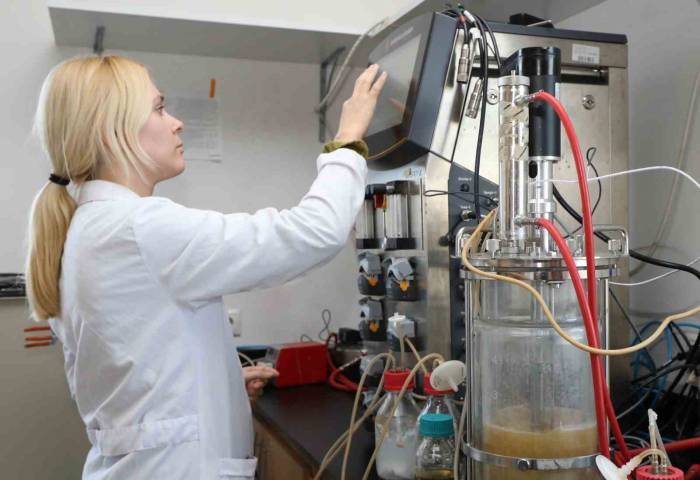 Vücuttaki Sitokin Fırtınasını Durduracak Yerli Ve Milli İlaçta Hayvan Deneylerine Geçildi