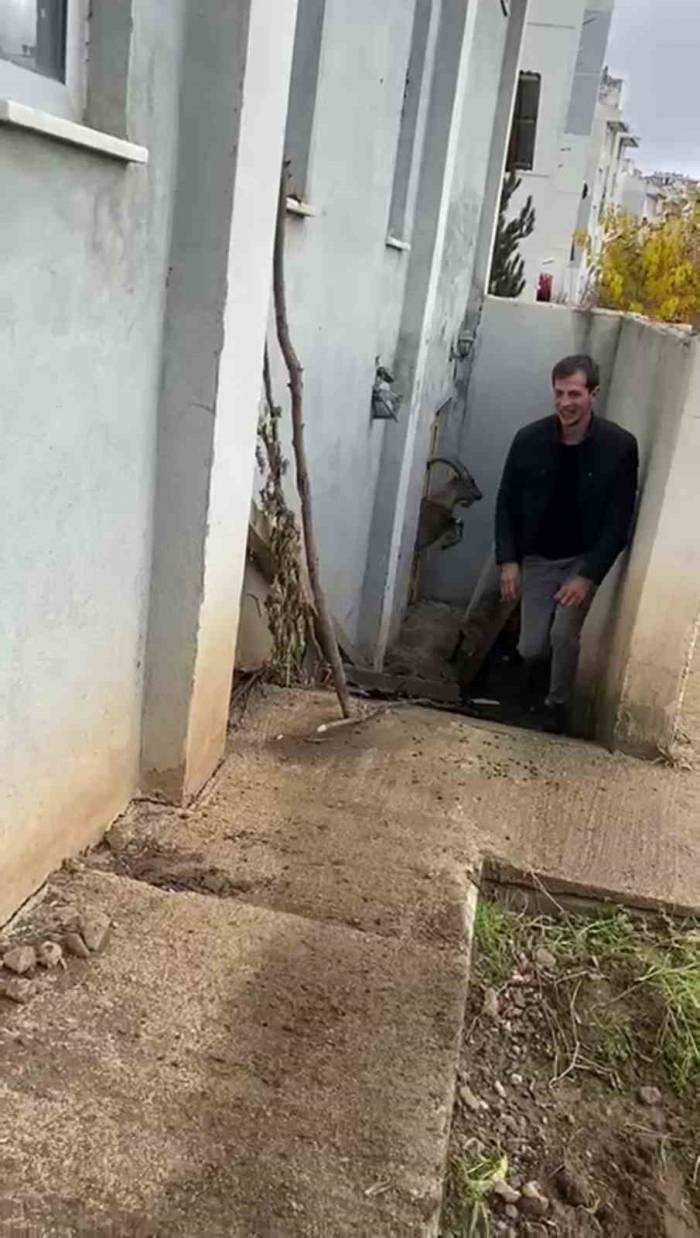 Öyle Bir Yerde Mahsur Kaldı Ki, Kurtarılır Kurtarılmaz Hemen Yaşam Alanına Koştu