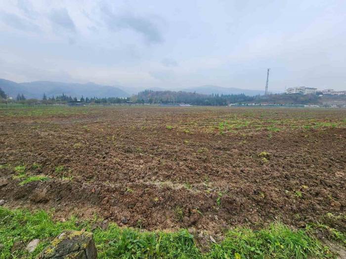 Sosyal Hizmet Tarlasında Bu Kez Yem Bitkisi Yetişecek