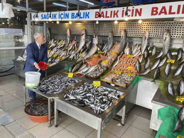 Bağışıklığı Korumak İçin Palamut Ve Hamsi Yeme Önerisi