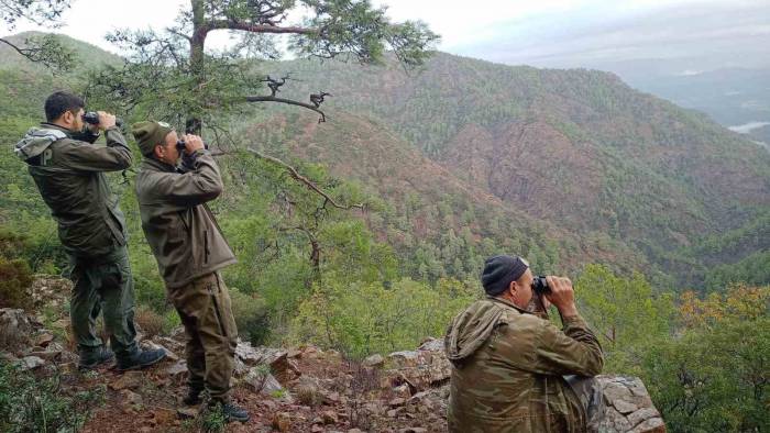 Köyceğiz’de Yaban Keçilerinin Tespiti Yapıldı