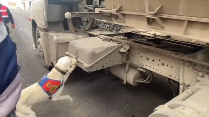 Şanlıurfa’da Jandarmadan Şok Yol Uygulaması