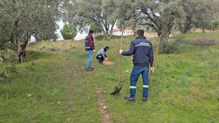 Böyle Vahşet Görülmedi, Onlarca Köpek Telef Olmuş Vaziyette Bulundu