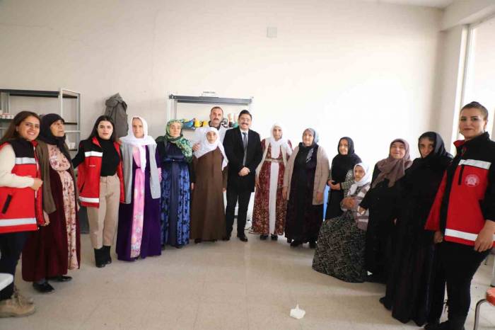 Vali Yardımcısı Mahmutoğlu, Çınarlarla Yakından İlgilendi