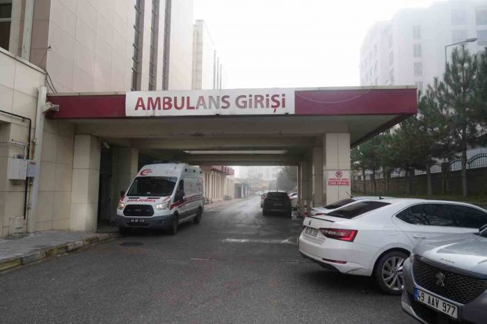 Köpeklerin Saldırısına Uğrayan Yaşlı Kadın Tedavi Altına Alındı