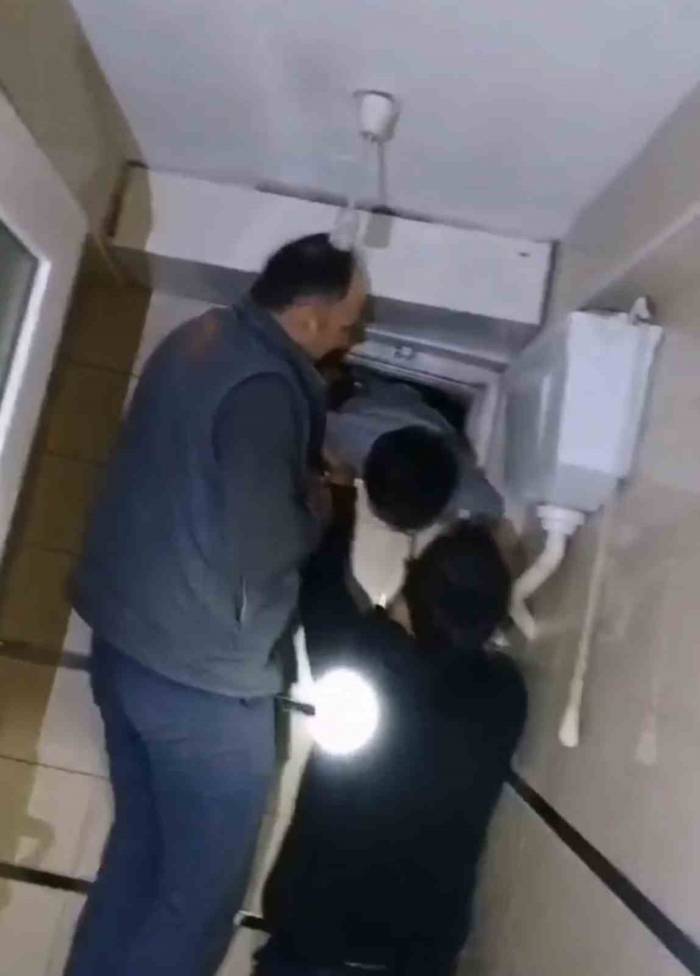 8 Yaşındaki Çocuk Yavru Kediyi Kurtardı