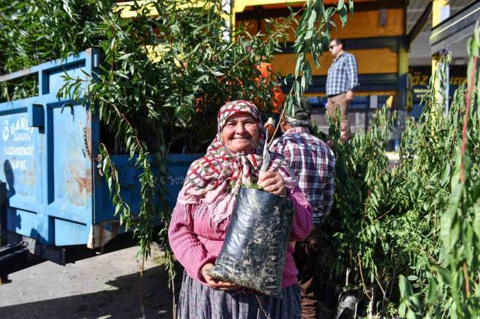 Mersin’de Üreticilere Badem Fidanı Desteği