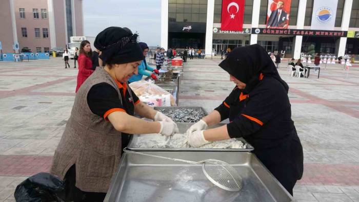 Sinop’ta Hamsi Şenliği: 1 Ton Hamsi Tüketildi