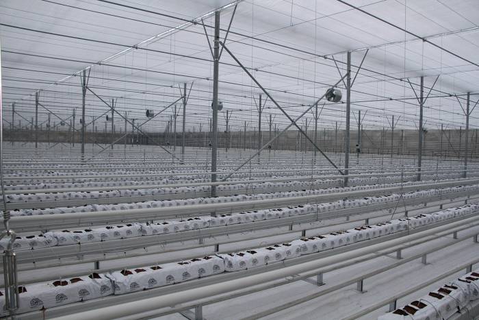 Eski Bakan Kasapoğlu Memleketindeki Yatırımları İnceledi