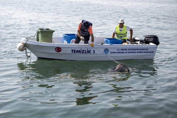 Akdeniz’de Mikroplastik Alarmı: Denizden Çıkan 1 Ton Atığın 800 Kilogramı Plastik