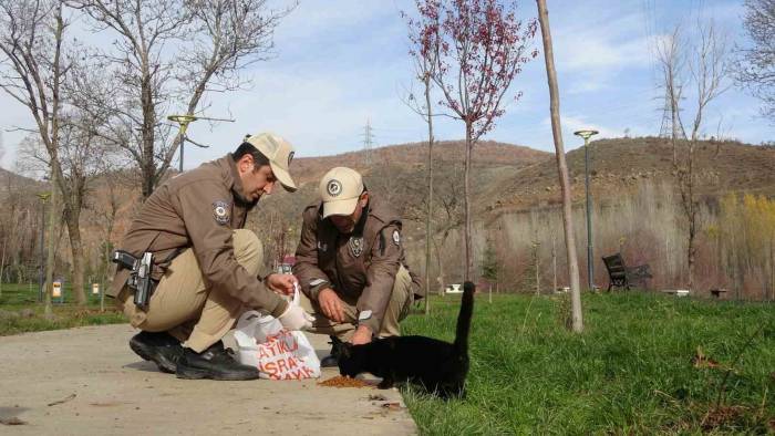 Bingöl’de Haydi Ekipleri Can Dostları Unutmuyor