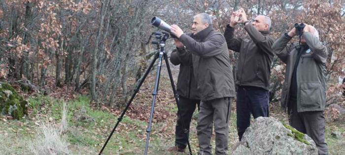 Elazığ’da Yaban Keçisi Envanter Çalışması Yapıldı