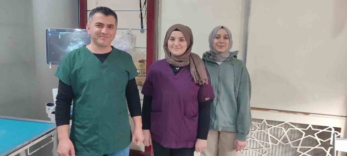 Hamile Koyun Dakikalarca Yavrusunun Kalp Atışını Dinledi: O Anlar Kamerada