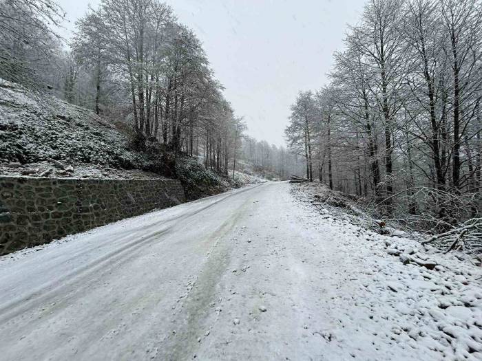 Artvin’de Kar Yağışı Nedeniyle 13 Köy Yolu Ulaşıma Kapandı