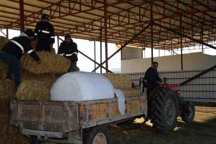 Şehzadeler Belediyesi Tarım Projesi İle Üreticinin Elini Güçlendirdi