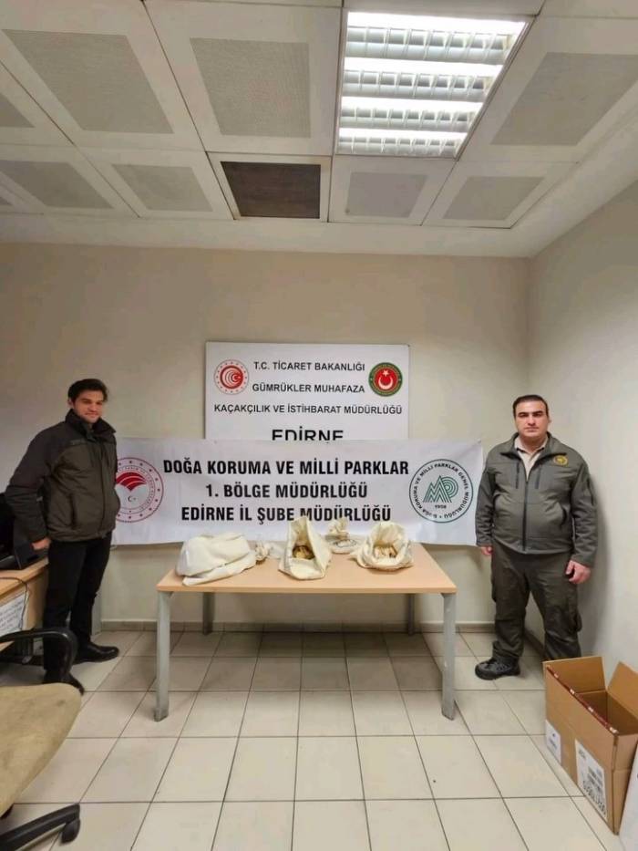 Türkiye’ye 33 Tehlikeli Piton Soktu: Cezası 26 Bin Lira