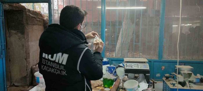 İstanbul’da Kaçakçılık Operasyonu: Fildişi, Antilop, Mamut Ve Geyik Boynuzları Ele Geçirildi