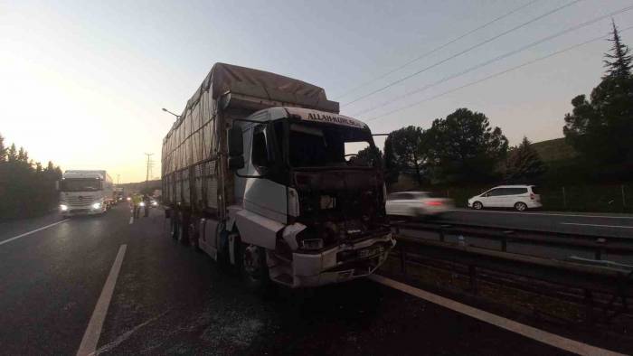 Tem’de Tır İle Kamyon Çarpıştı: Sürücüyü Vatandaşlar Ön Camdan Çıkardı