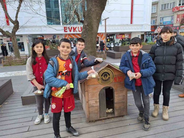 "Merhamet" Konusu İşleyen Öğrenciler Sokak Hayvanlarıyla İlgilendi