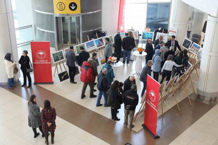 Eskişehir’de Tarım, Orman Ve İnsan Temalı Fotoğraf Sergisi Açıldı