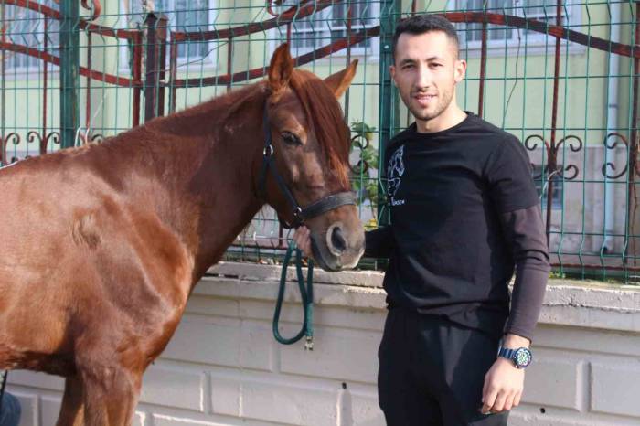 Atalarından Devraldıkları Rahvan Atlarına Gözleri Gibi Bakarak Yarışlara Hazırlıyorlar