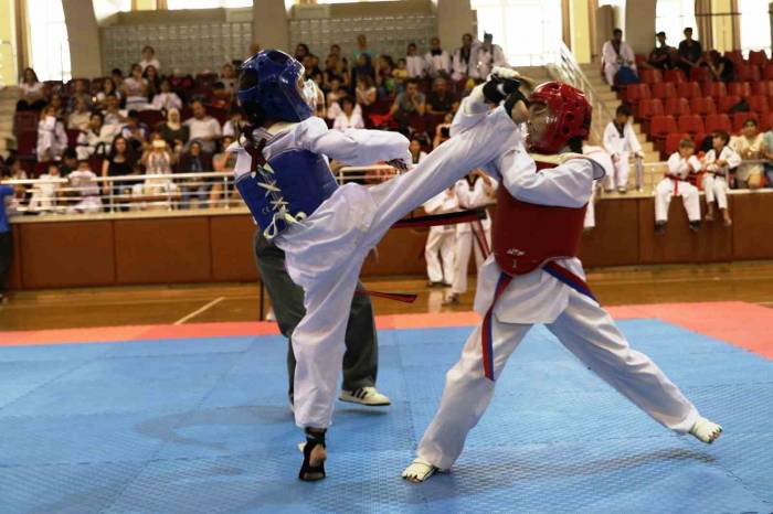 Aydın’da Savunma Sporlarına İlgi Artıyor