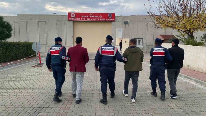Zeytin Hırsızlığı İddiasıyla Adliyeye Sevk Edilen Zanlı: “Paşa Paşa Yatarız”