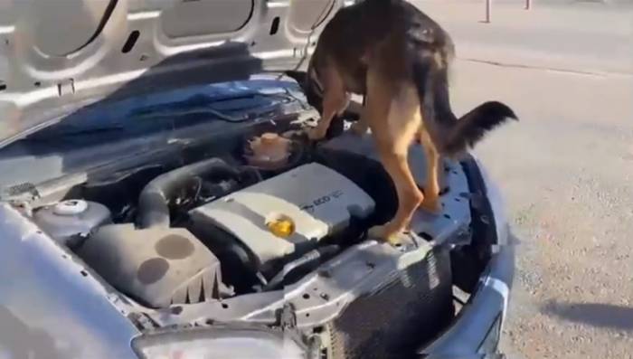 Aracın Motorunda Uyuşturucu Çıktı