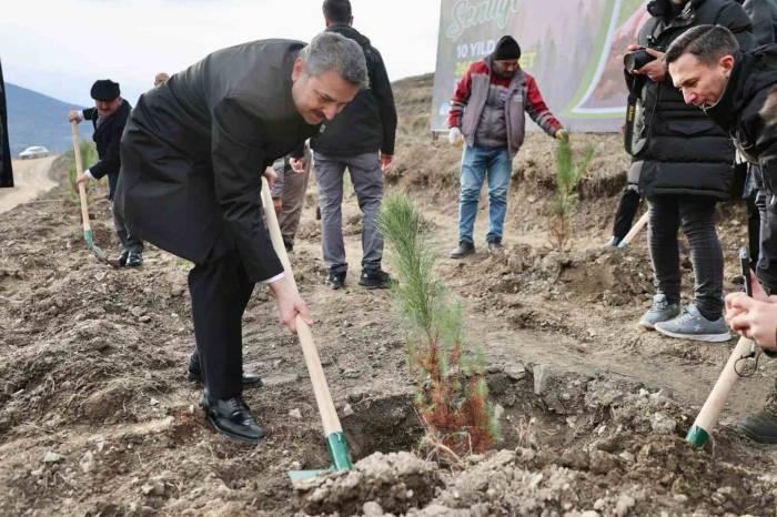 Tokat Belediyesi 10 Yılda 260 Bin Fidanı Toprakla Buluşturdu