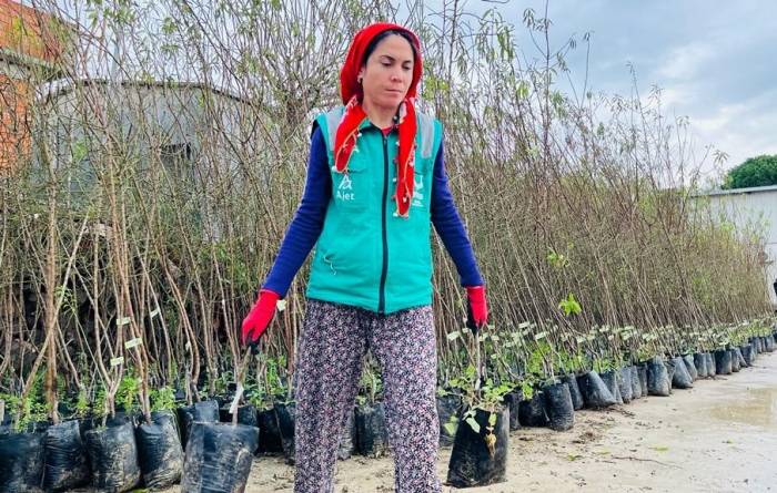 Aliağa Belediyesinden Üreticilere 18 Bin 600 Adet Fidan Desteği