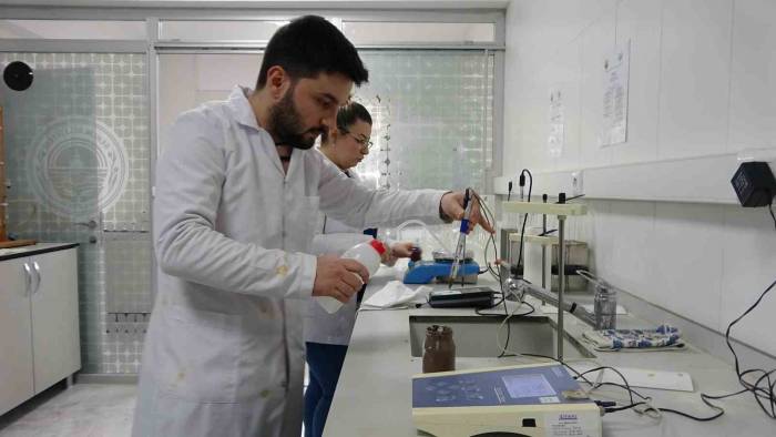 Zeytinin Verimliliği İçin Toprak Analizleri Başladı