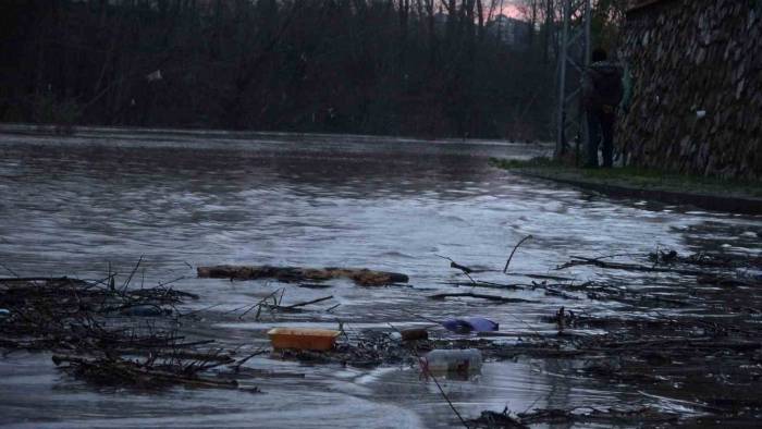 Asfaltta Balık Avladı