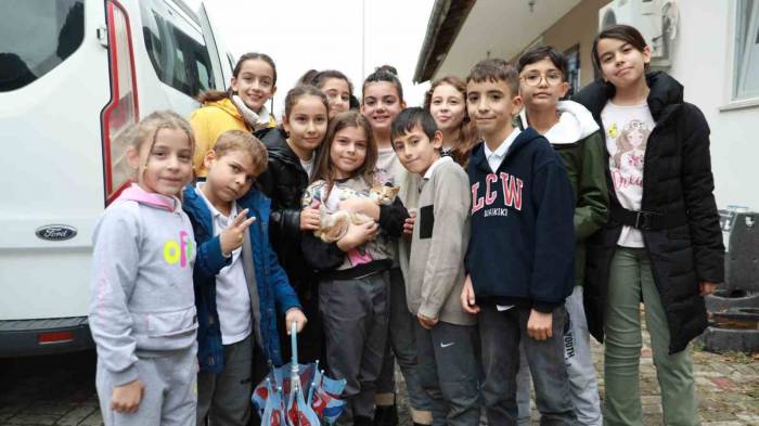 Çocuklar İle Belediye El Ele Kedilere Umut Oluyor