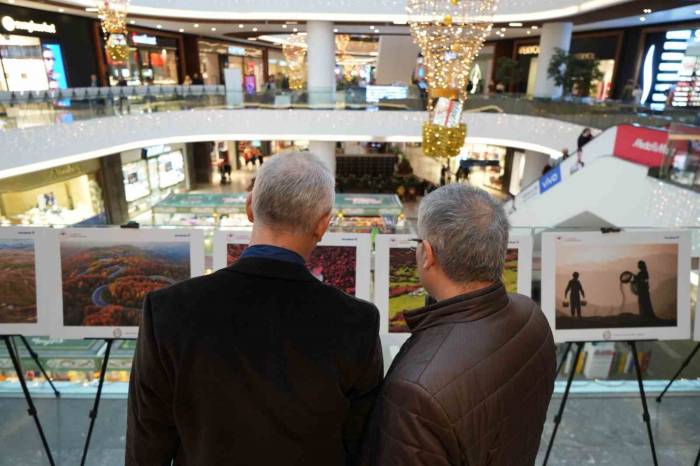 Tarım, Orman Ve İnsan Fotoğraf Sergisi Samsun’da Ziyarete Açıldı