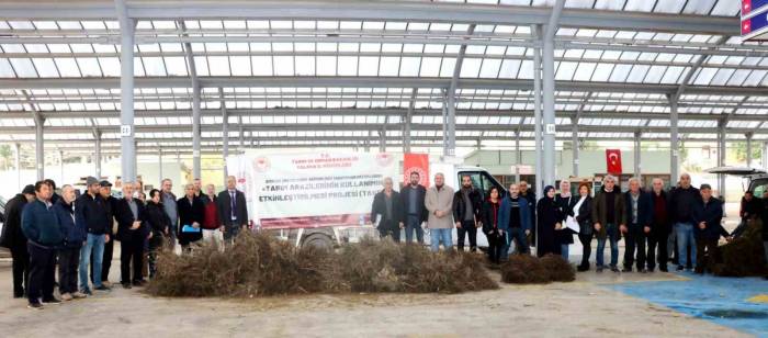 Yalova’da Çiftçilere Trabzon Hurması Ve Ceviz Fidanı Dağıtıldı