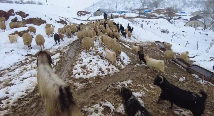 Erzincan’ın Köylerinde Kış Mesaisi Başladı