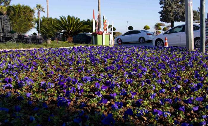 Mersin Büyükşehir Belediyesi Yeşil Alan Bakımlarını Sürdürüyor