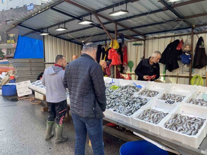 Balık Fiyatları Düşünce, Yoğun İlgi Başladı