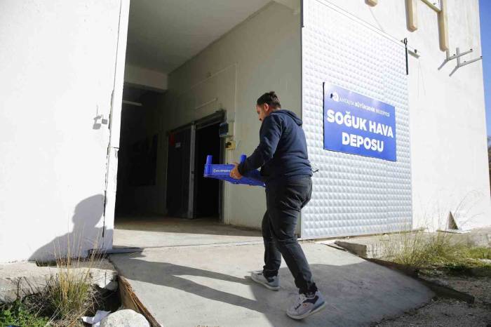 Büyükşehir’den Finike’ye Soğuk Hava Deposu