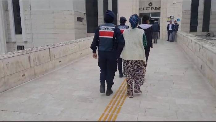 Jandarmadan Zeytin Hırsızlarına Gece Baskını...2 Kişi Gözaltına Alındı