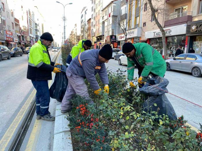 Bozüyük’te Park Bahçelerde Bakım Ve Temizlik Çalışmaları Sürüyor