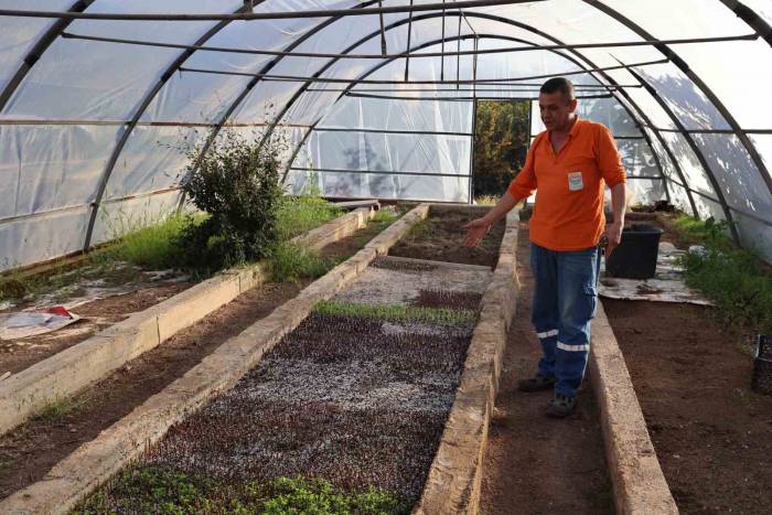 Marmaris Belediyesi 2 Milyon Adet Mevsimlik Çiçek Üretti