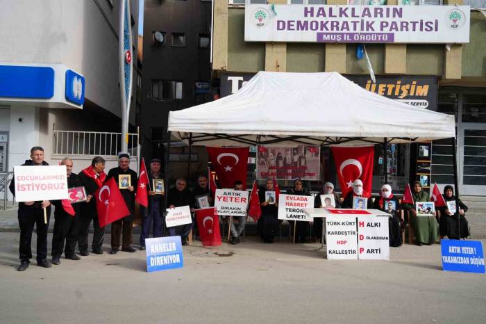 Acılı Anne Necibe Çiftçi: "Hdp Ve Pkk Bir Oğlumu Dağa Kaçırdı, Bir Oğlumu İse İnfaz Etti"