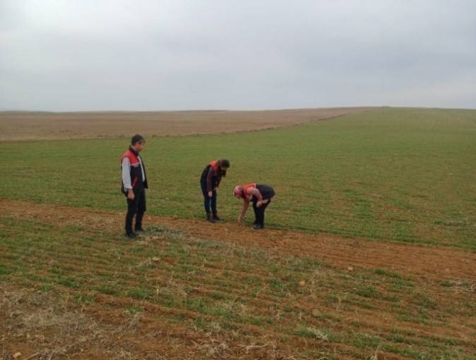 Arazi Denetimleri Ve Çiftçi Bilgilendirme Toplantıları Yapıldı