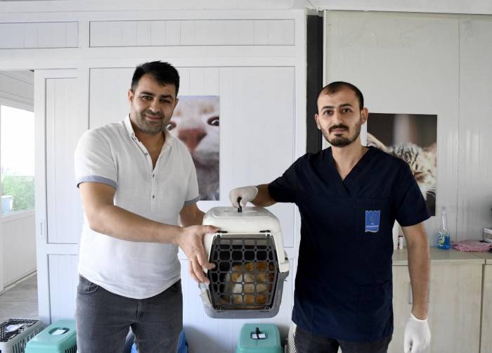 Kuşadası’nda Minik Patili Can Dostların Sağlığı Emin Ellerde