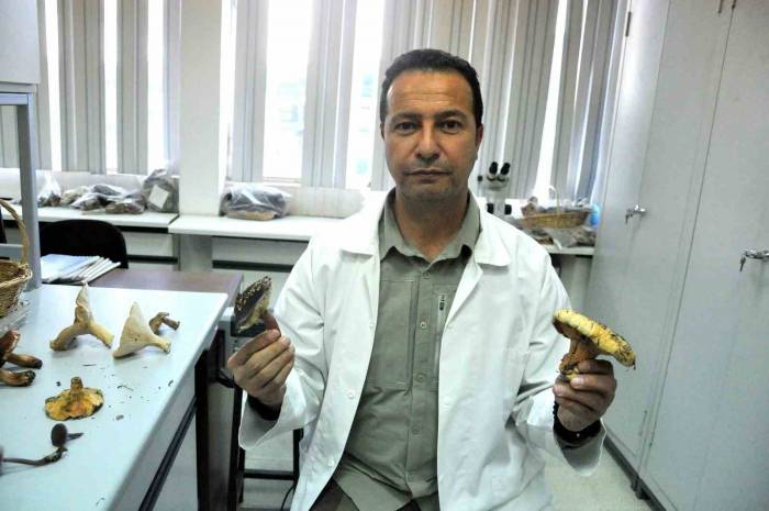 Muğla’da Mantar Bereketi Yaşanırken, Uzmanlar Zehirlenmelere Karşı Uyardı